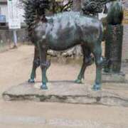 ヒメ日記 2025/03/19 12:10 投稿 常盤 熟女待機所 厚木店