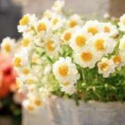 ヒメ日記 2025/03/26 16:42 投稿 常盤 熟女待機所 厚木店