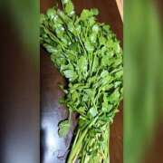 ヒメ日記 2025/03/28 18:31 投稿 常盤 熟女待機所 厚木店