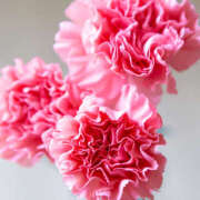 ヒメ日記 2025/05/09 08:49 投稿 常盤 熟女待機所 厚木店