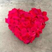 ヒメ日記 2025/07/04 17:20 投稿 常盤 熟女待機所 厚木店