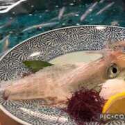 ヒメ日記 2025/08/16 15:25 投稿 常盤 熟女待機所 厚木店