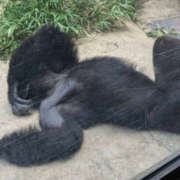 ヒメ日記 2025/09/16 09:25 投稿 常盤 熟女待機所 厚木店