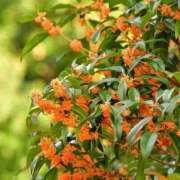 ヒメ日記 2025/10/24 19:06 投稿 常盤 熟女待機所 厚木店