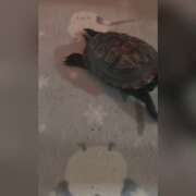 ヒメ日記 2025/10/27 19:26 投稿 常盤 熟女待機所 厚木店