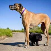 常盤 ありがとうごさいました🩷 熟女待機所 厚木店