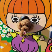 ヒメ日記 2026/02/10 10:05 投稿 常盤 熟女待機所 厚木店