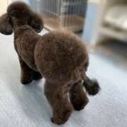 ヒメ日記 2026/02/12 12:05 投稿 常盤 熟女待機所 厚木店