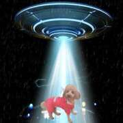 ヒメ日記 2026/02/18 16:05 投稿 常盤 熟女待機所 厚木店