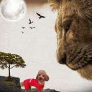 ヒメ日記 2026/02/19 09:45 投稿 常盤 熟女待機所 厚木店