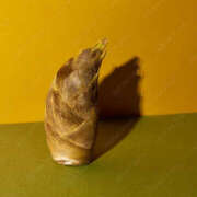 ヒメ日記 2026/02/21 09:25 投稿 常盤 熟女待機所 厚木店