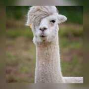 ヒメ日記 2026/03/02 08:25 投稿 常盤 熟女待機所 厚木店