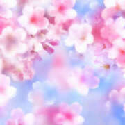 ヒメ日記 2026/03/12 15:06 投稿 常盤 熟女待機所 厚木店