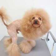 ヒメ日記 2026/03/13 18:26 投稿 常盤 熟女待機所 厚木店