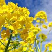 ヒメ日記 2026/03/16 08:06 投稿 常盤 熟女待機所 厚木店