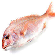 ヒメ日記 2026/03/16 15:26 投稿 常盤 熟女待機所 厚木店