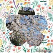 ヒメ日記 2026/04/02 16:45 投稿 常盤 熟女待機所 厚木店