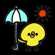 ヒメ日記 2026/04/23 19:05 投稿 常盤 熟女待機所 厚木店