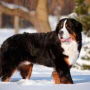 ヒメ日記 2026/04/24 19:45 投稿 常盤 熟女待機所 厚木店