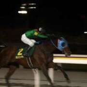 ヒメ日記 2025/05/05 20:49 投稿 ののか 秒即DE舐めてミント池袋店