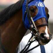 ヒメ日記 2025/06/15 00:19 投稿 ののか 秒即DE舐めてミント池袋店