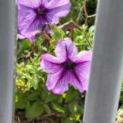 ヒメ日記 2025/08/16 16:19 投稿 ののか 秒即DE舐めてミント池袋店