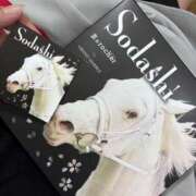 ヒメ日記 2025/09/26 23:12 投稿 ののか 秒即DE舐めてミント池袋店