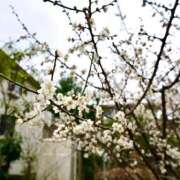 ヒメ日記 2026/02/16 13:47 投稿 ののか 秒即DE舐めてミント池袋店