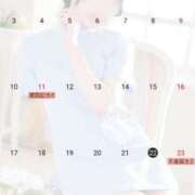 ヒメ日記 2025/02/24 15:00 投稿 さえ エスッテ×エスッテ