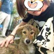 ヒメ日記 2025/09/26 14:53 投稿 えみり ニューグランド