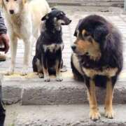 ヒメ日記 2025/09/29 14:06 投稿 えみり ニューグランド