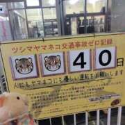 えみり 🏝ねこにやさしい世界 ニューグランド