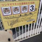 ヒメ日記 2025/12/11 17:33 投稿 えみり ニューグランド