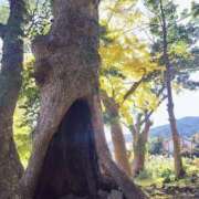 ヒメ日記 2025/12/19 12:32 投稿 えみり ニューグランド