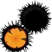 いちか [お題]from:ディマンシェさん モアグループ南越谷人妻花壇