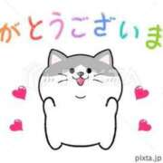 ヒメ日記 2025/09/01 00:56 投稿 栞奈(かんな) ビッグバード