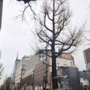 ヒメ日記 2025/03/12 17:20 投稿 ふうか 新大阪秘密倶楽部