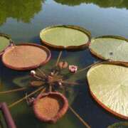 ヒメ日記 2025/12/02 16:15 投稿 ふうか 新大阪秘密倶楽部