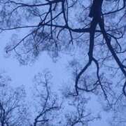 ヒメ日記 2026/04/03 12:05 投稿 ふうか 新大阪秘密倶楽部