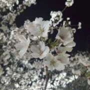 ヒメ日記 2026/04/06 21:45 投稿 ふうか 新大阪秘密倶楽部