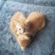 ヒメ日記 2025/09/05 17:20 投稿 ゆら アラモード