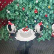 ヒメ日記 2025/12/24 10:42 投稿 貴子 クラブルージュ