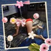 ヒメ日記 2025/04/06 12:04 投稿 千香子 クラブルージュ