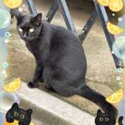 ヒメ日記 2025/05/23 12:04 投稿 千香子 クラブルージュ