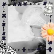 ヒメ日記 2025/09/12 12:04 投稿 千香子 クラブルージュ