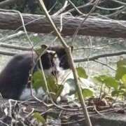 ヒメ日記 2026/03/24 12:10 投稿 千香子 クラブルージュ