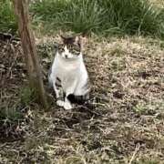 ヒメ日記 2026/04/02 12:10 投稿 千香子 クラブルージュ