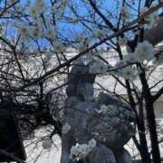 ヒメ日記 2025/02/22 22:52 投稿 涼子 クラブルージュ