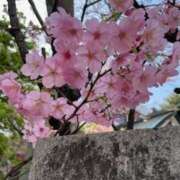 ヒメ日記 2025/03/25 23:12 投稿 涼子 クラブルージュ