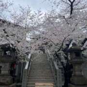 ヒメ日記 2025/03/31 22:42 投稿 涼子 クラブルージュ